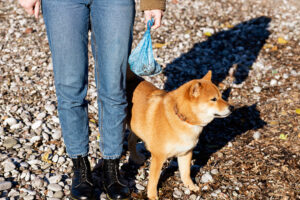 Plastic Pet Poop Bags